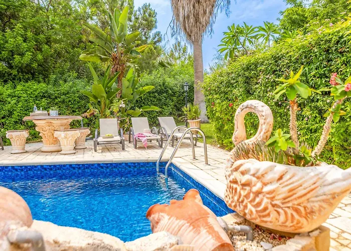 Sweet Memories Argaka